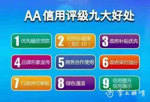 与信用评级机构合作