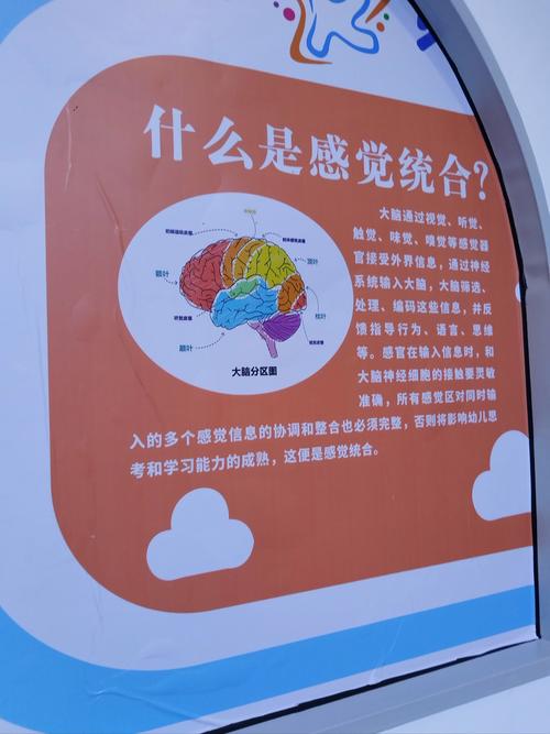 借助专业机构的支持