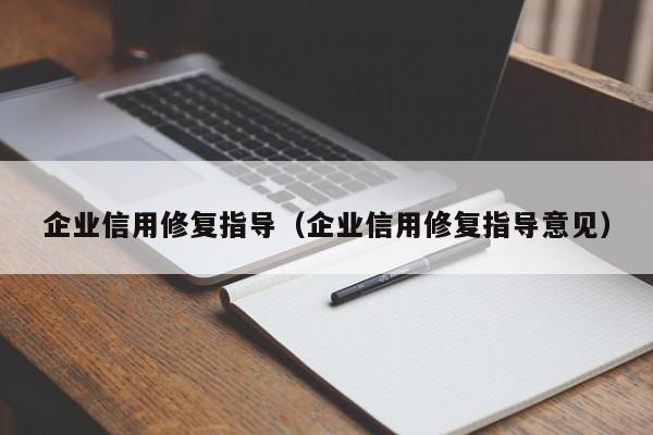 企业信用修复指导（企业信用修复指导意见）