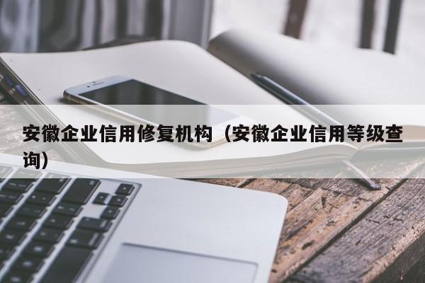 安徽企业信用修复机构（安徽企业信用等级查询）
