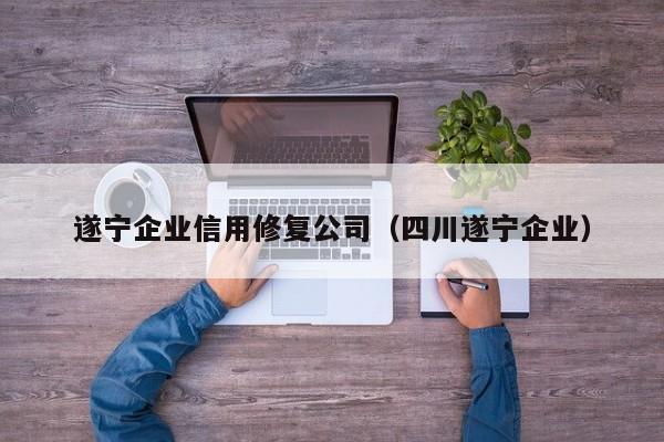 遂宁企业信用修复公司（四川遂宁企业）