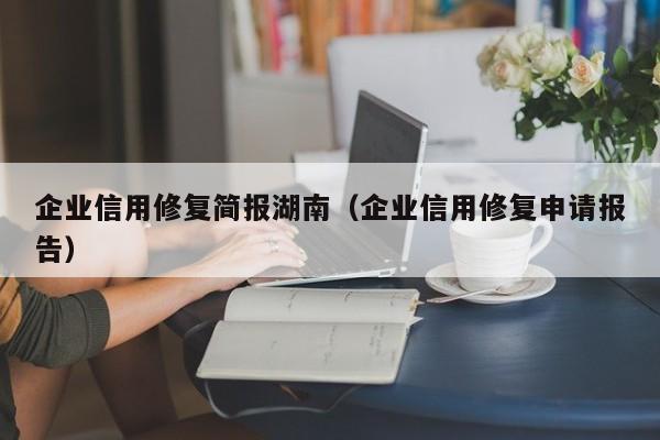 企业信用修复简报湖南（企业信用修复申请报告）
