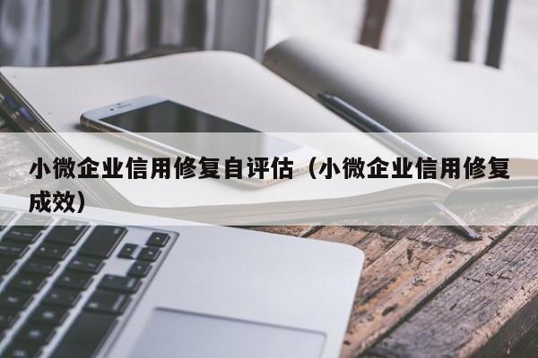 小微企业信用修复自评估（小微企业信用修复成效）