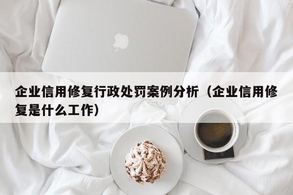 企业信用修复行政处罚案例分析（企业信用修复是什么工作）