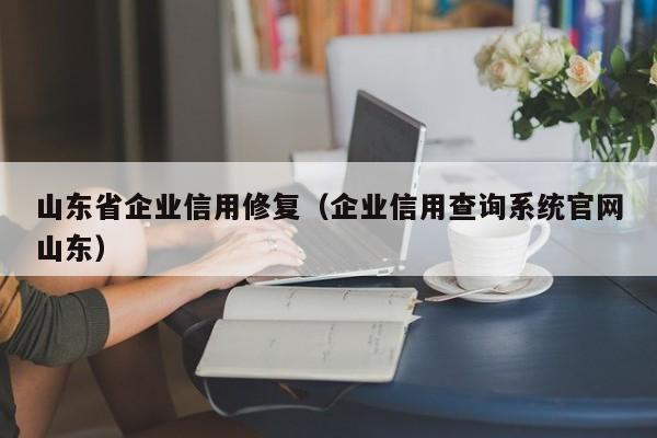 山东省企业信用修复（企业信用查询系统官网山东）