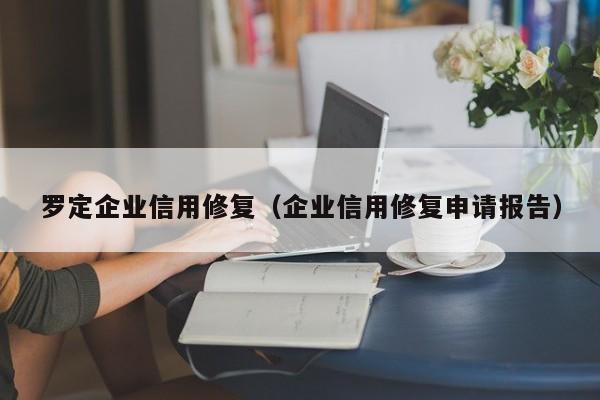 罗定企业信用修复（企业信用修复申请报告）
