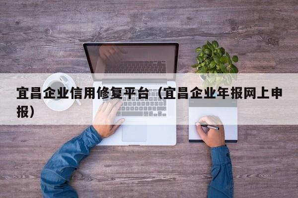 宜昌企业信用修复平台（宜昌企业年报网上申报）