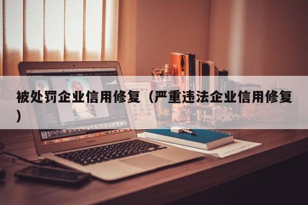 被处罚企业信用修复（严重违法企业信用修复）